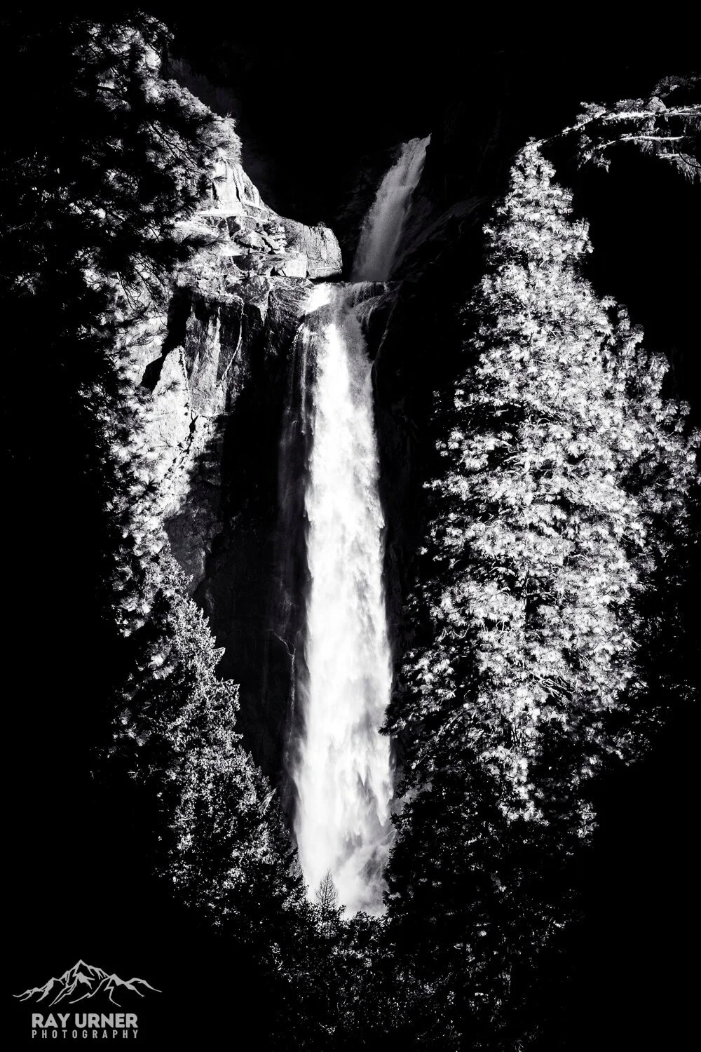 Black and white photo of a tall waterfall surrounded by snow-covered trees.