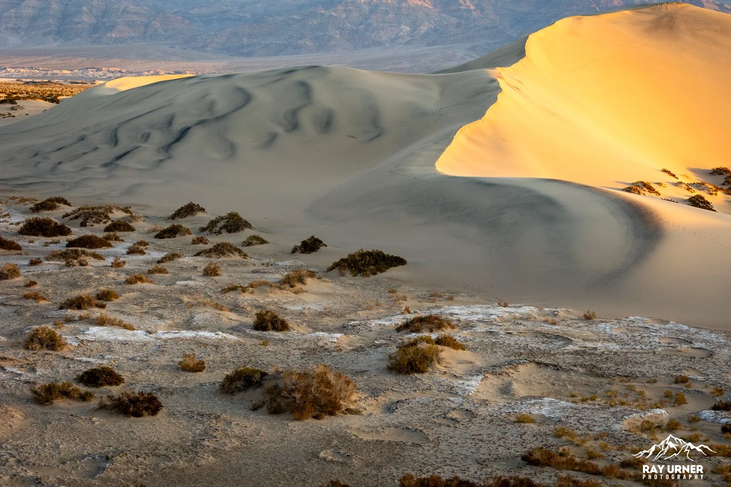 Death-Valley-Mesquite-Sand-Dunes-Sunrise-019.jpg