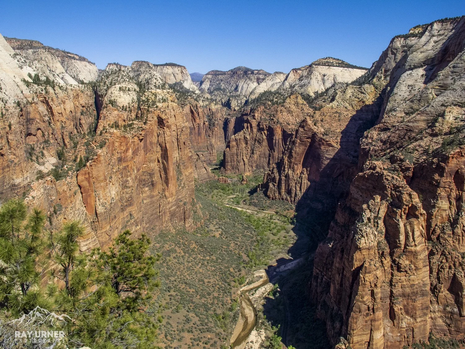 View of Zion Canyon with steep red and orange rock cliffs and a dry riverbed at the bottom, under a clear blue sky.