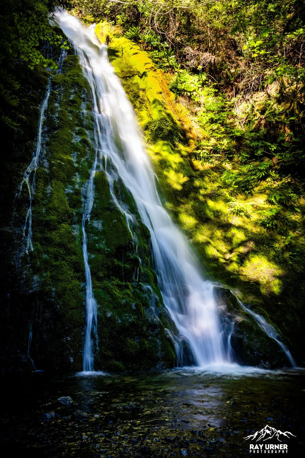 Madison-Creek-Falls-Olympic-004.jpg