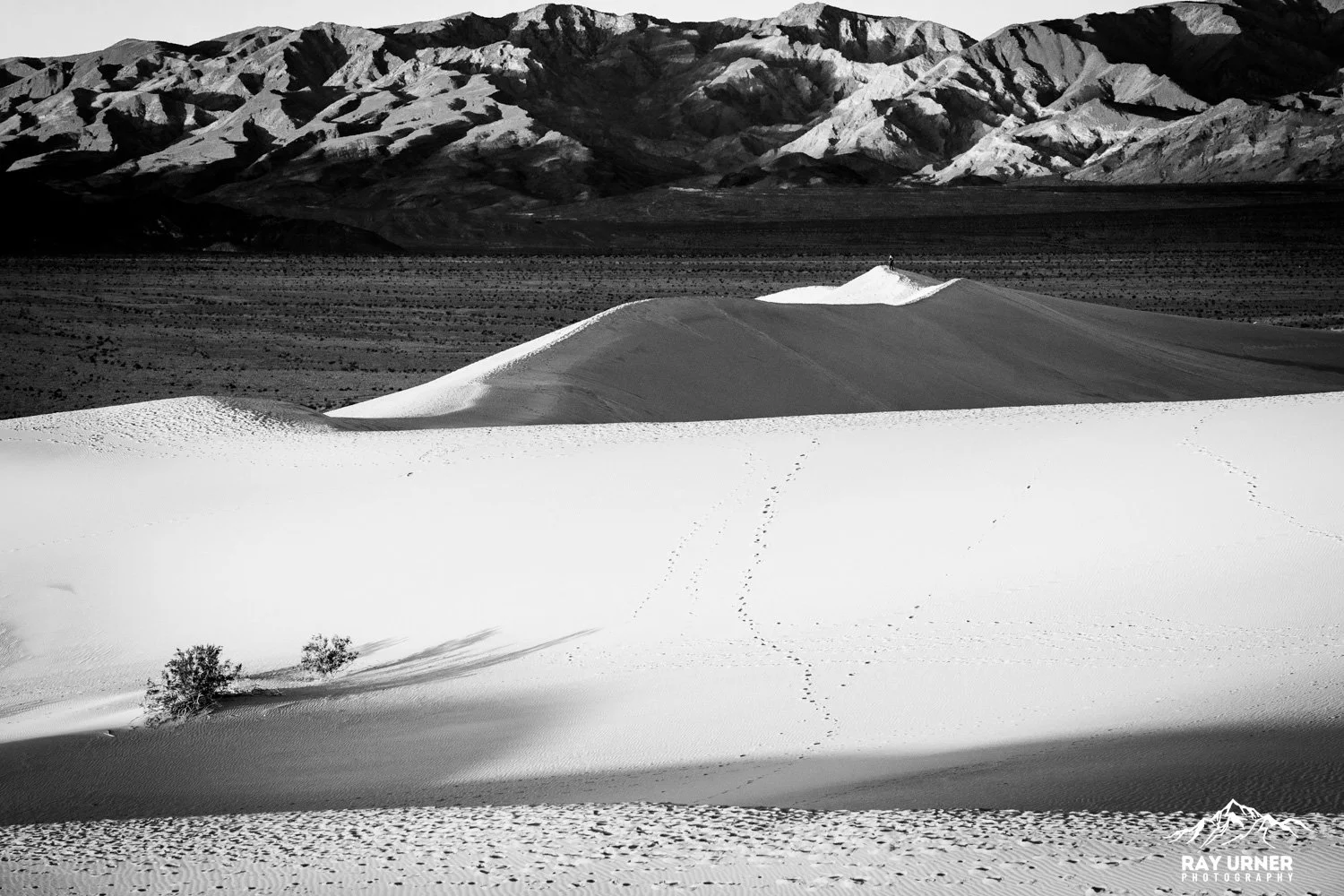 Death-Valley-Mesquite-Sand-Dunes-Sunrise-029.jpg