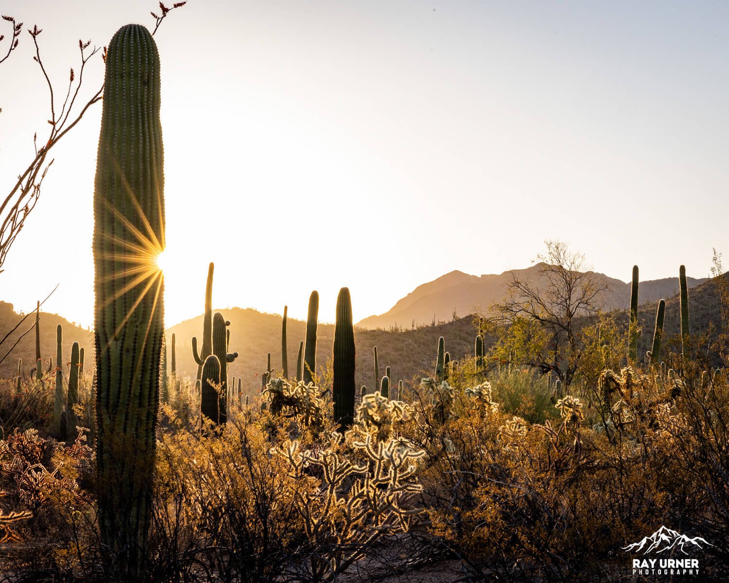 Saguaro-Valley-View-Overlook-Trail 006.jpg