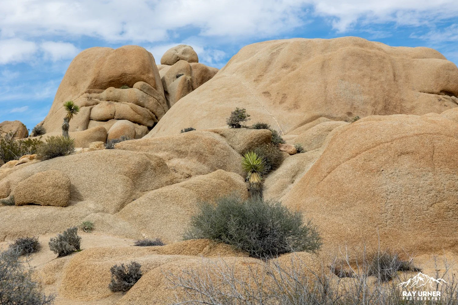 Joshua-Tree-Skull-Rock-010.jpg