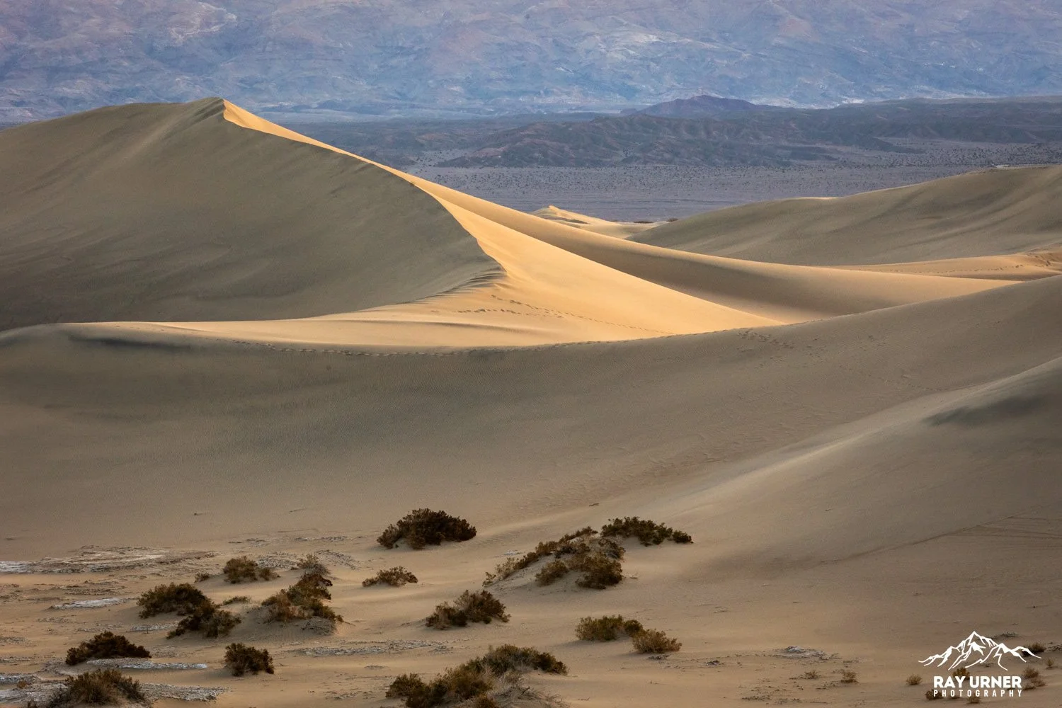 Death-Valley-Mesquite-Sand-Dunes-Sunrise-012.jpg