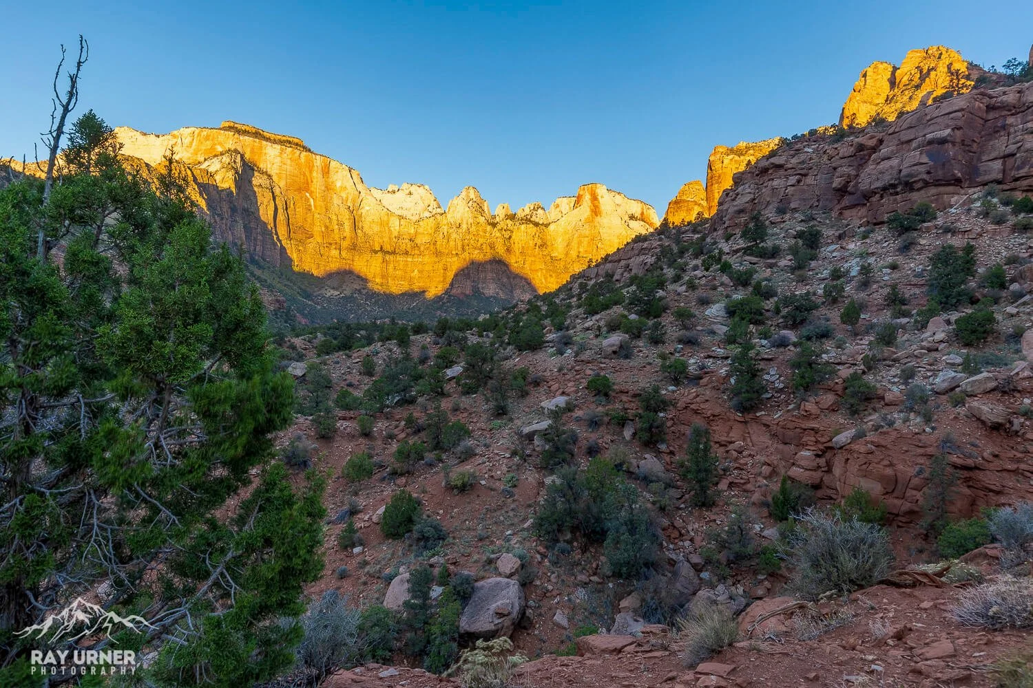 Sunrise in Zion National Park in Utah at the Towers of the Virgin