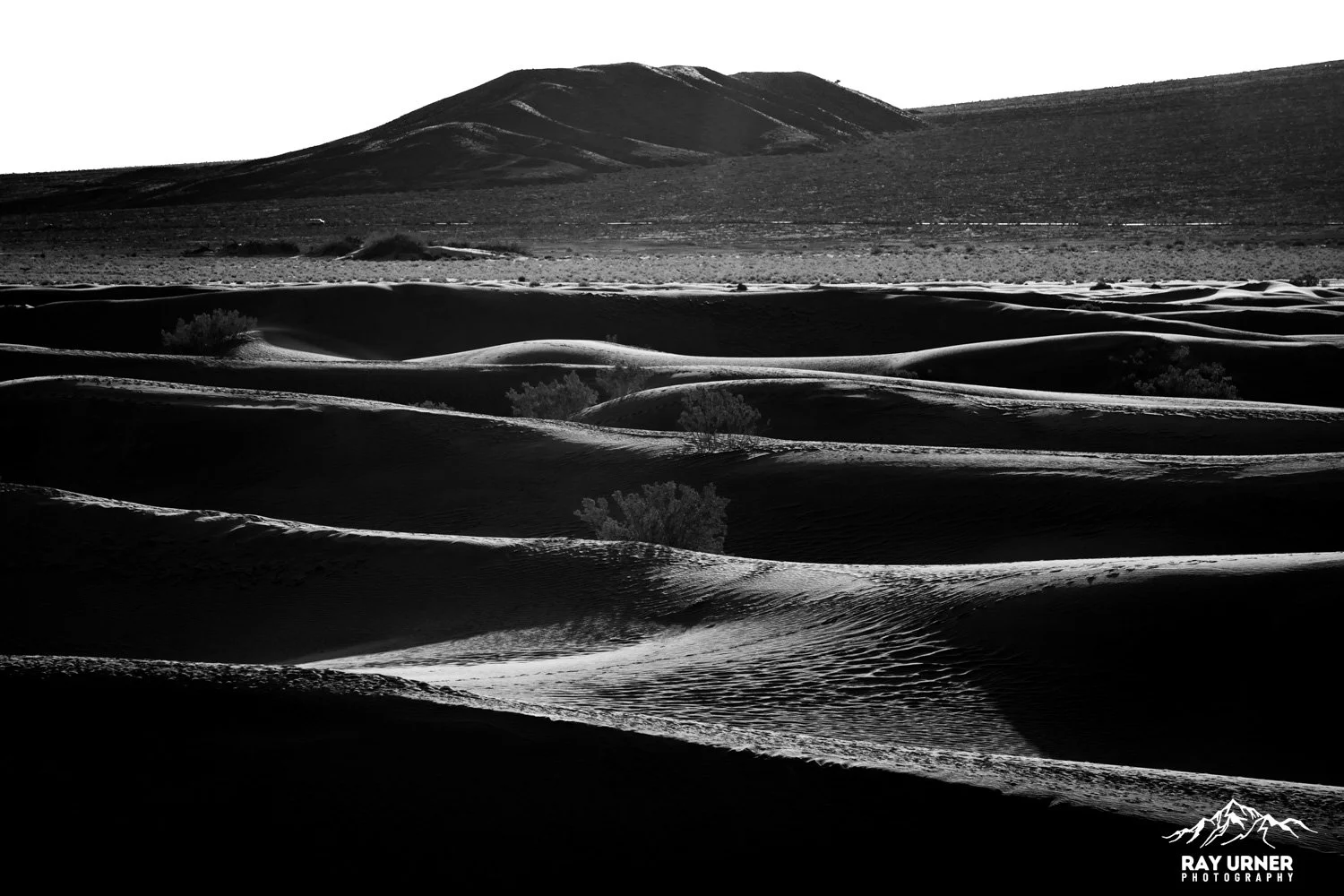 Death-Valley-Mesquite-Sand-Dunes-Sunrise-098.jpg