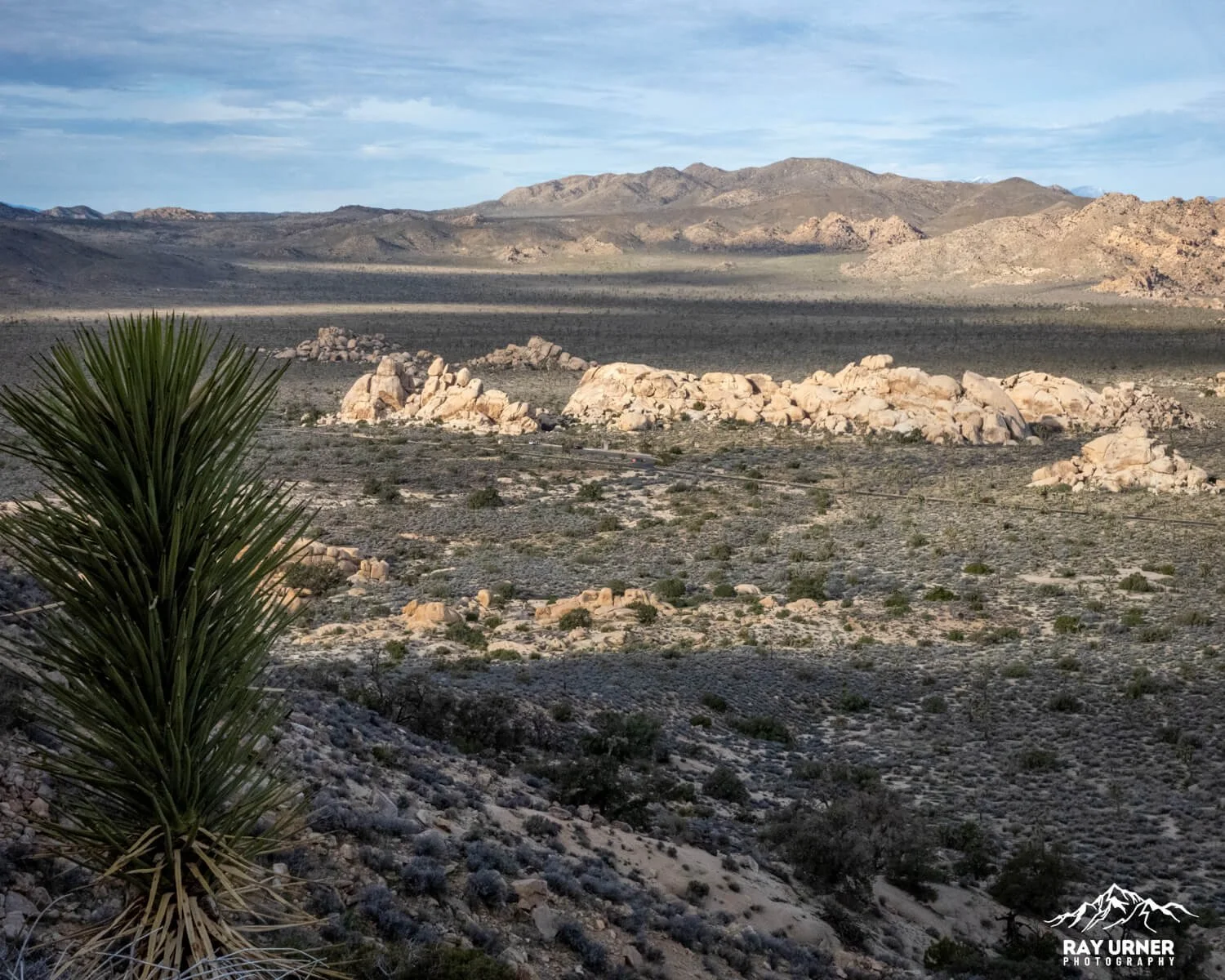 Joshua-Tree-Ryan-Mountain-006.jpg