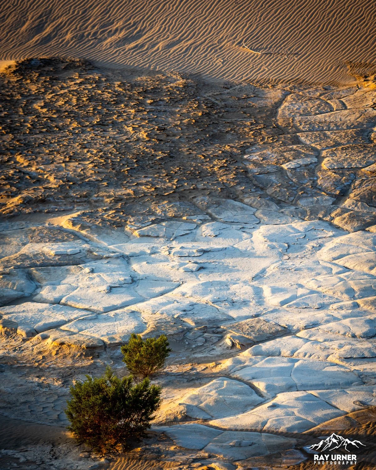 Death-Valley-Mesquite-Sand-Dunes-Sunrise-037.jpg