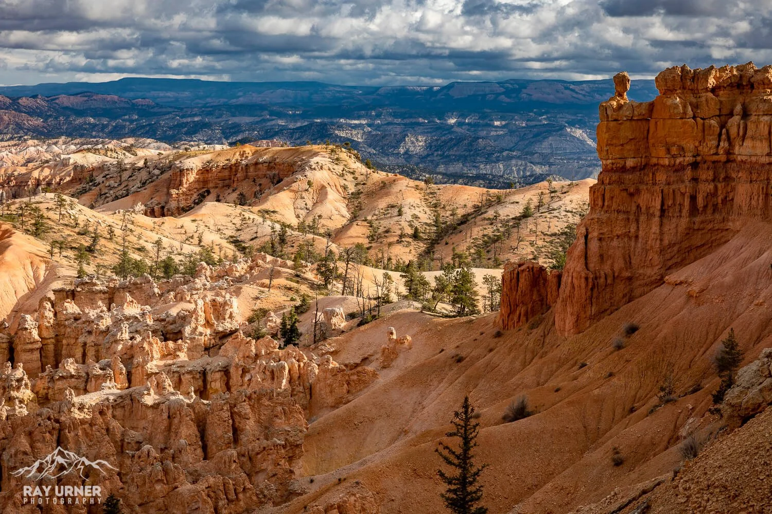 Scenic view of Bryce Canyon with orange and white hoodoos, green trees, and distant mountains under cloudy sky.