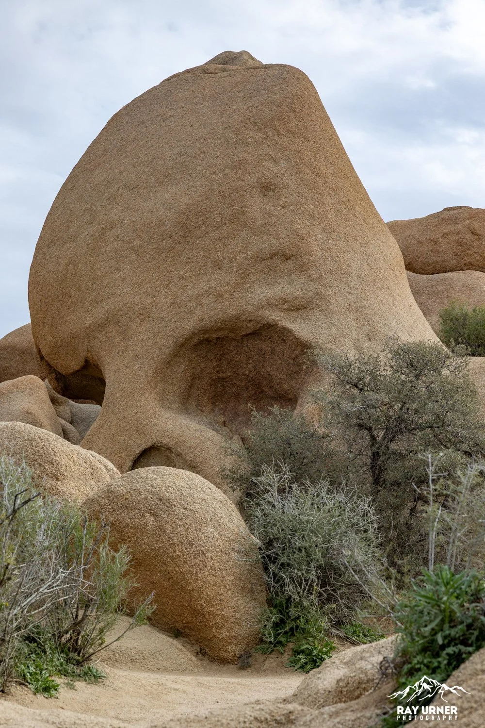 Joshua-Tree-Skull-Rock-004.jpg