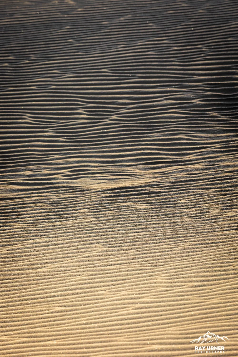 Death-Valley-Mesquite-Sand-Dunes-Sunrise-062.jpg