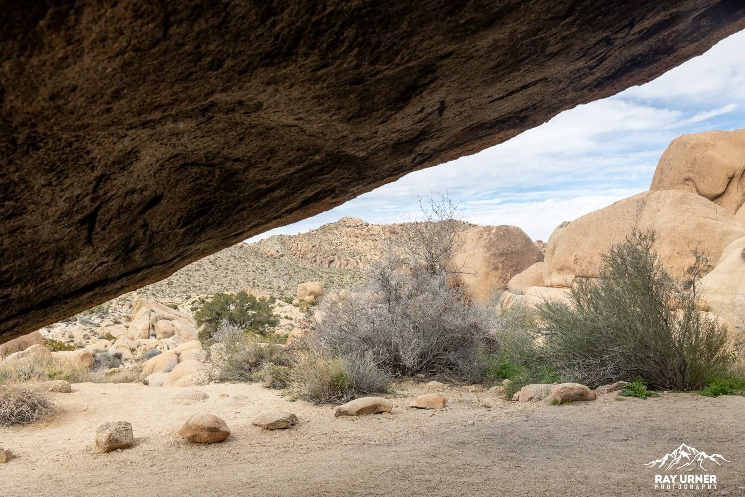 Joshua-Tree-Split-Rock-017.jpg