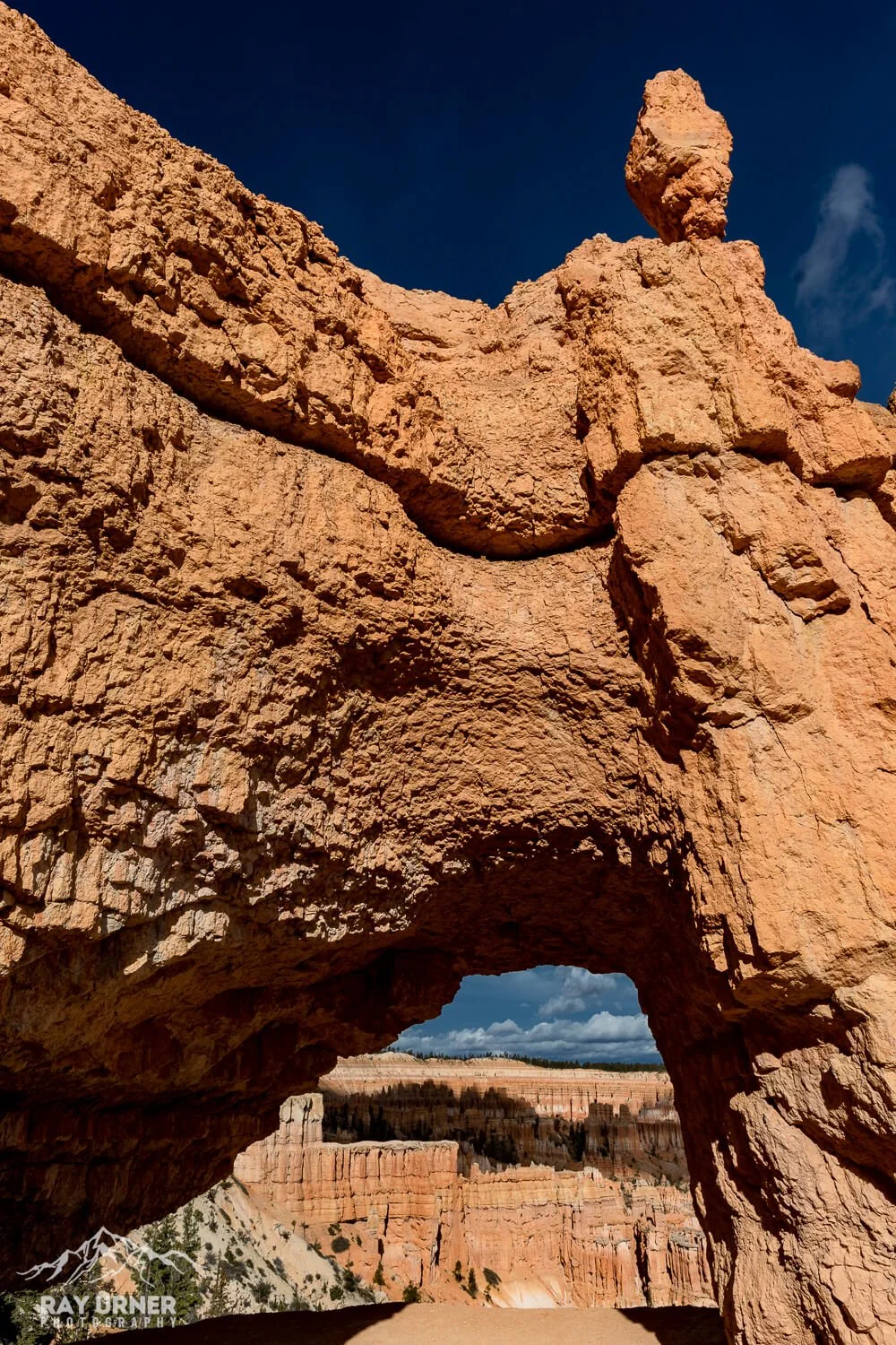 Bryce Canyon National Park in Utah, photographed along the Peekaboo Loop Trail