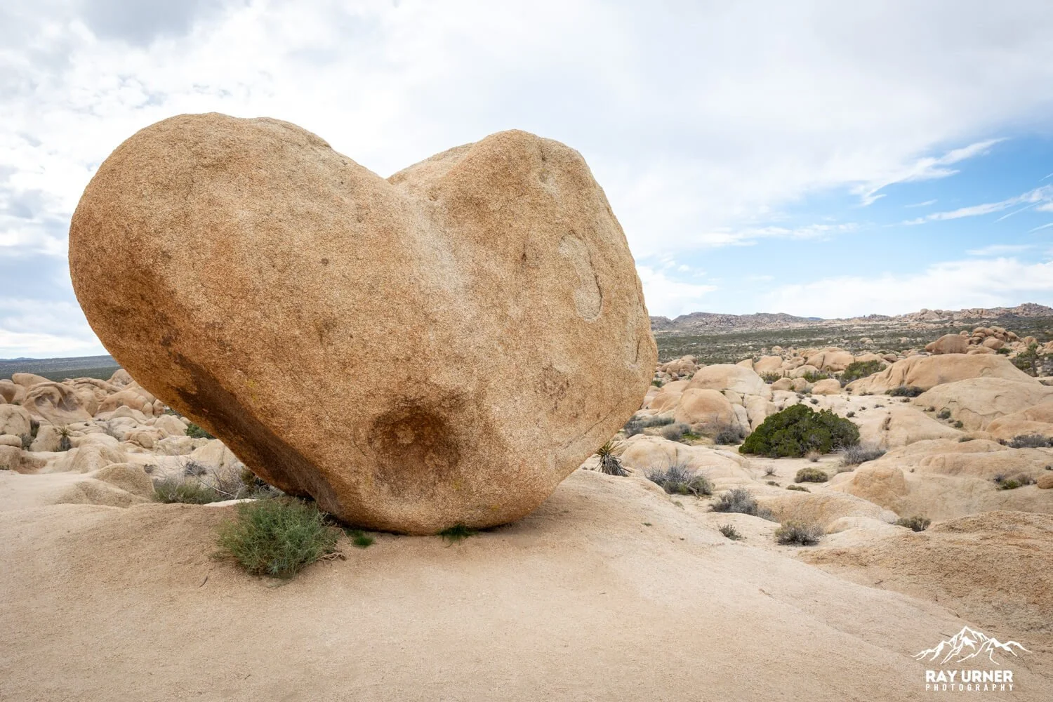 Joshua-Tree-Heart-Rock-003.jpg