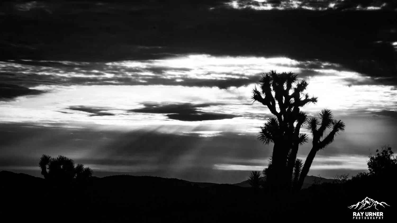 Joshua-Tree-Keys-View-Sunrise-014.jpg