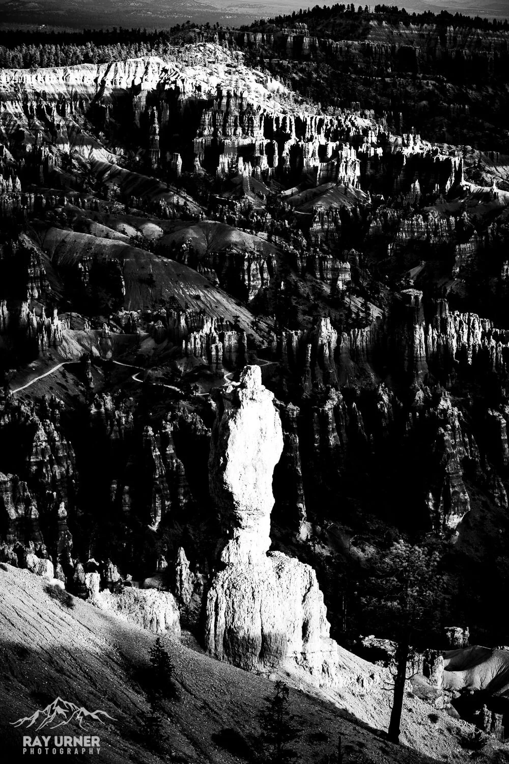 Hoodoo at Bryce Canyon