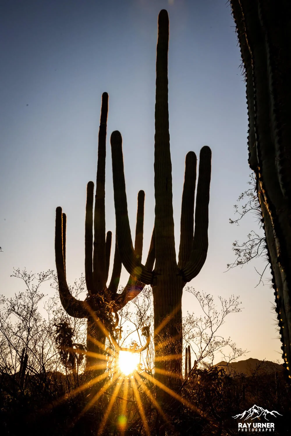 Saguaro-Valley-View-Overlook-Trail 005.jpg