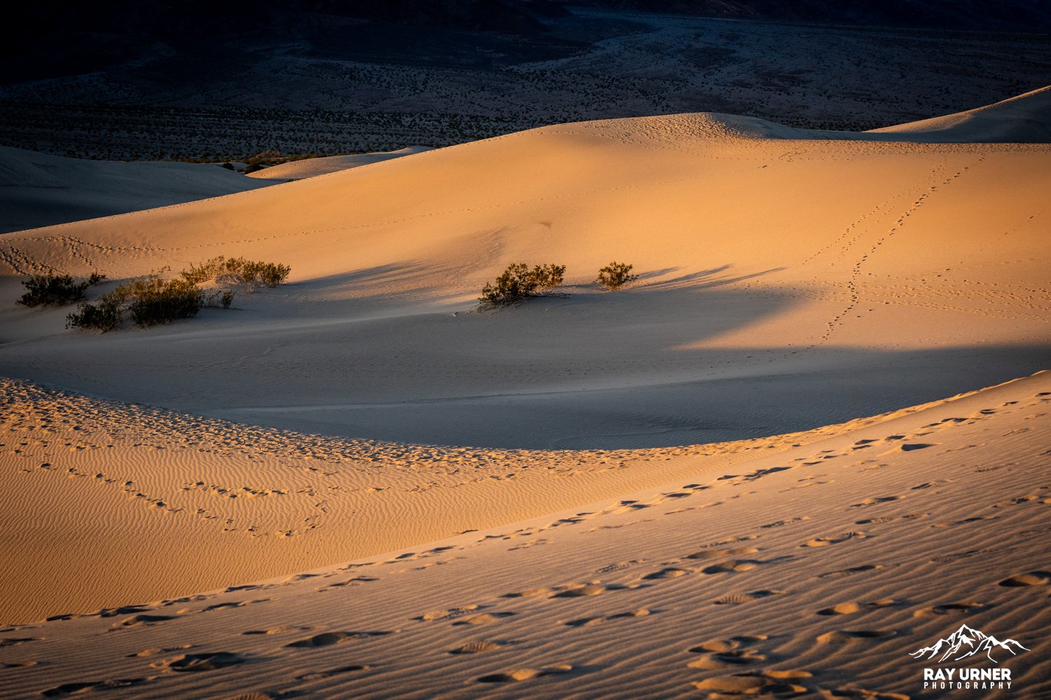 Death-Valley-Mesquite-Sand-Dunes-Sunrise-023.jpg