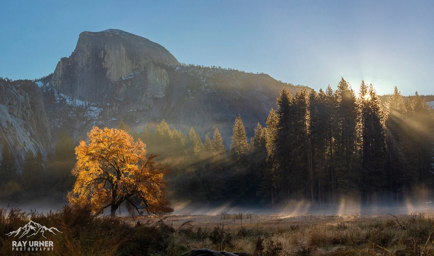 A mountain landscape with a prominent granite dome, surrounded by tall trees and fog in the foreground, with sunlight shining through the trees.