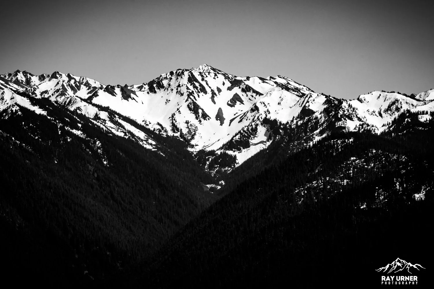 Hurricane-Ridge-Olympic-019.jpg