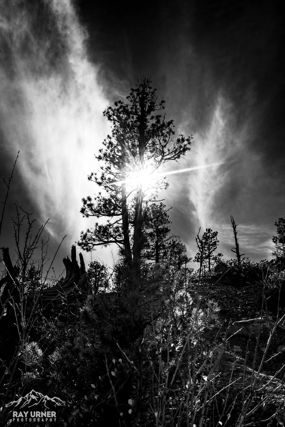 Mossy Cave hike, on the way to Bryce Canyon National Park in Utah