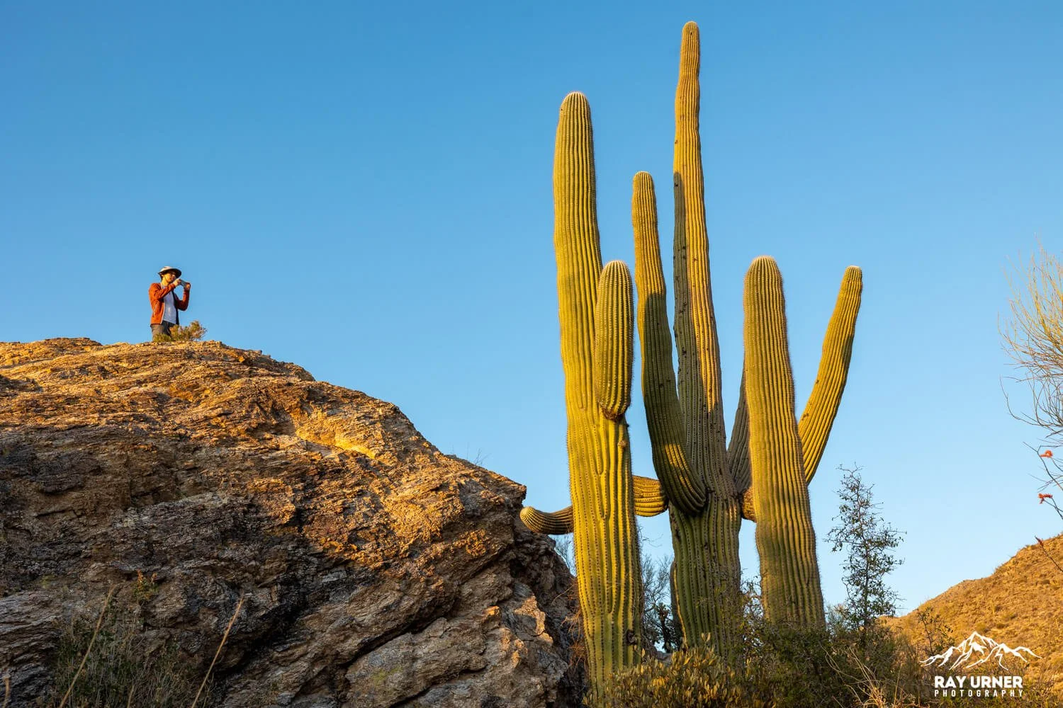 Saguaro-Javelina-Rocks-Overlook-018.jpg