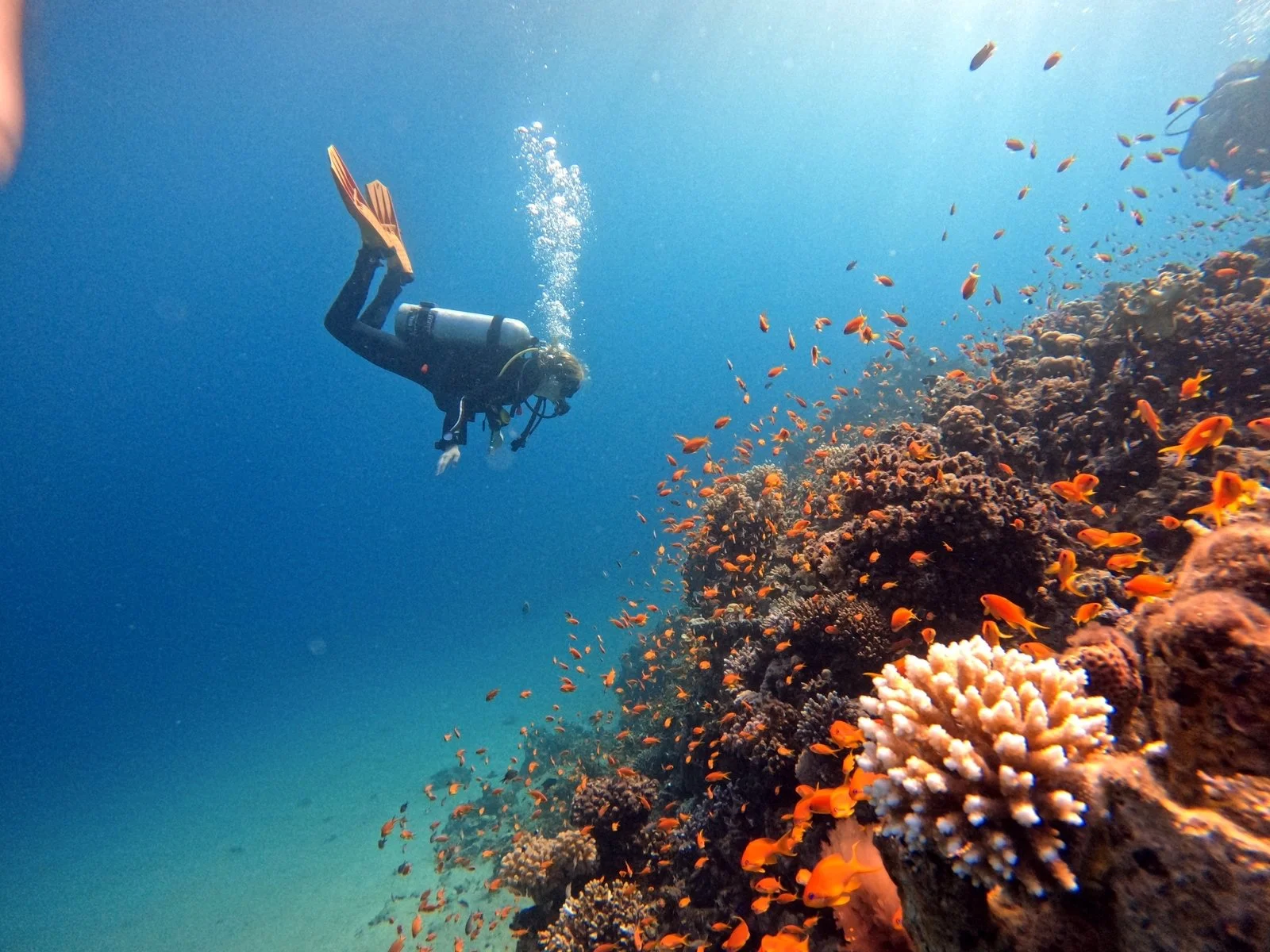 Dahab, Red Sea, Egypt