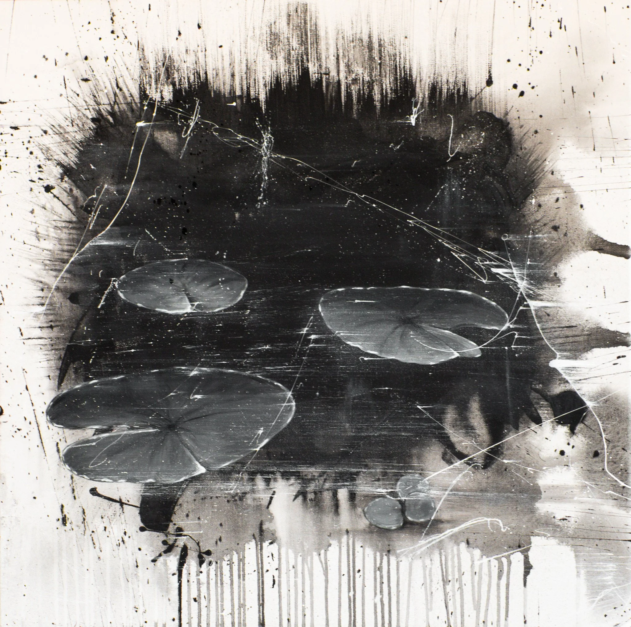 LOTUS LEAVES POND #1