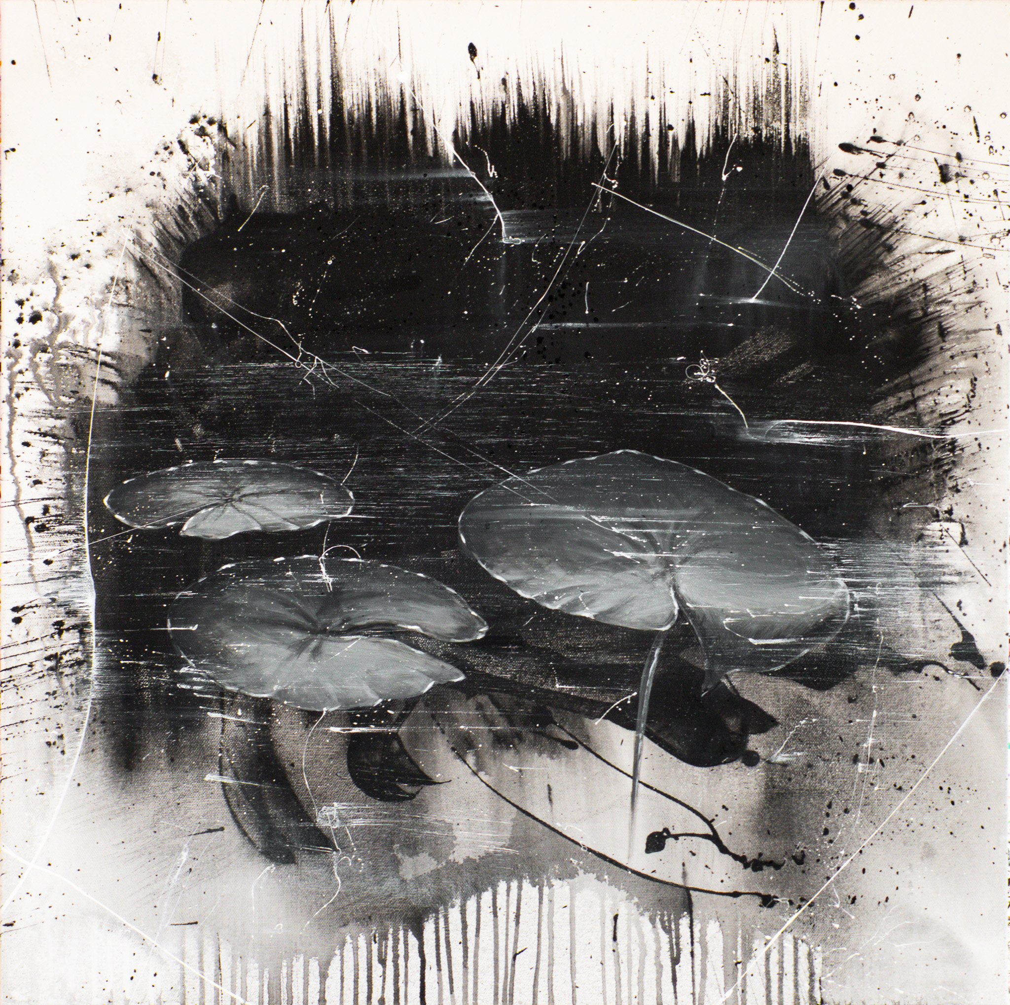 LOTUS LEAVES POND #2