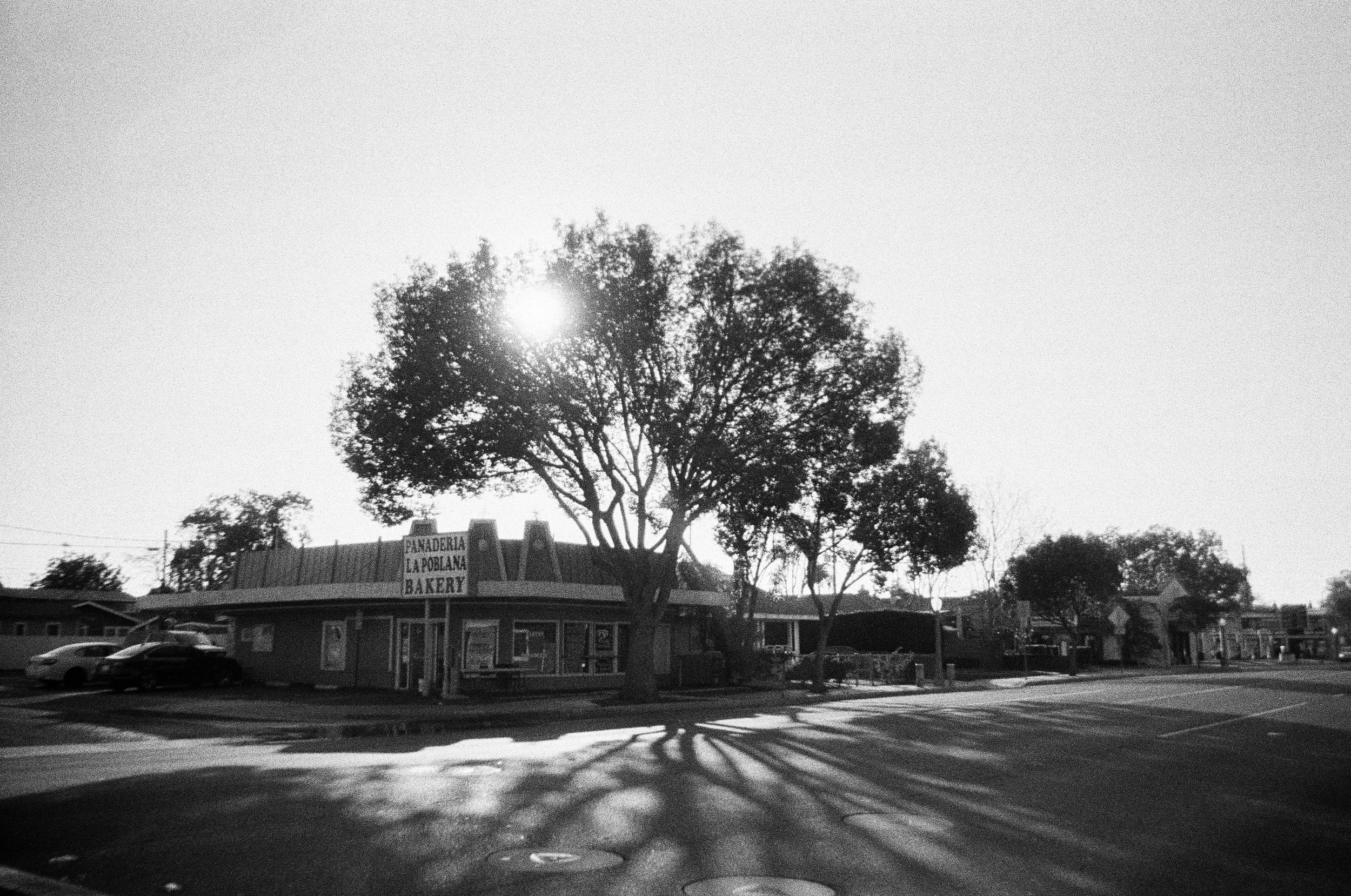 Kodak Tri-X Disposable - 11.2023-4.2023.jpg
