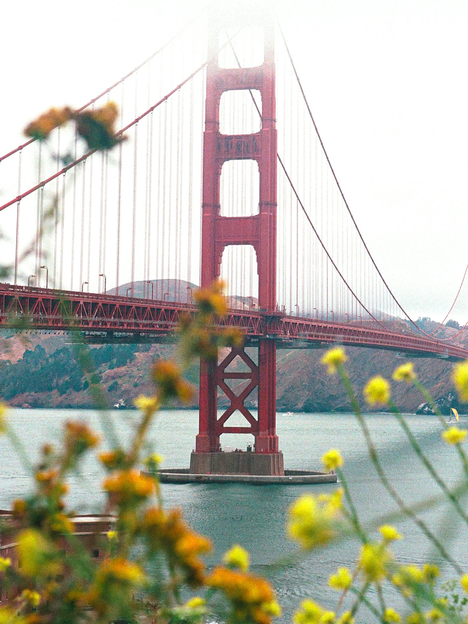 Golden Gate Bridge_Leica M3_Kodak Ultramax_July 2023-5.jpg