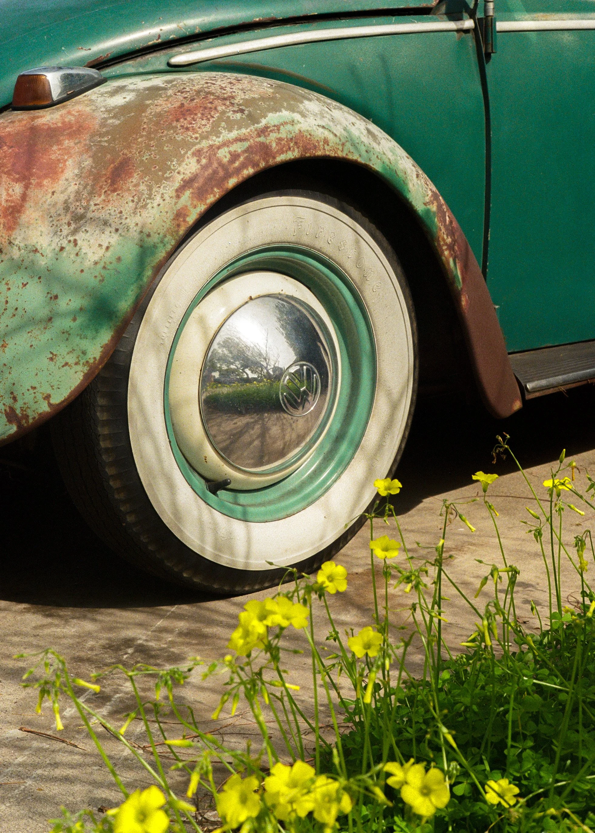 Leica M3_Kodak UltraMax 400_7.6.2023-2.15.2024_lo res-2.JPG