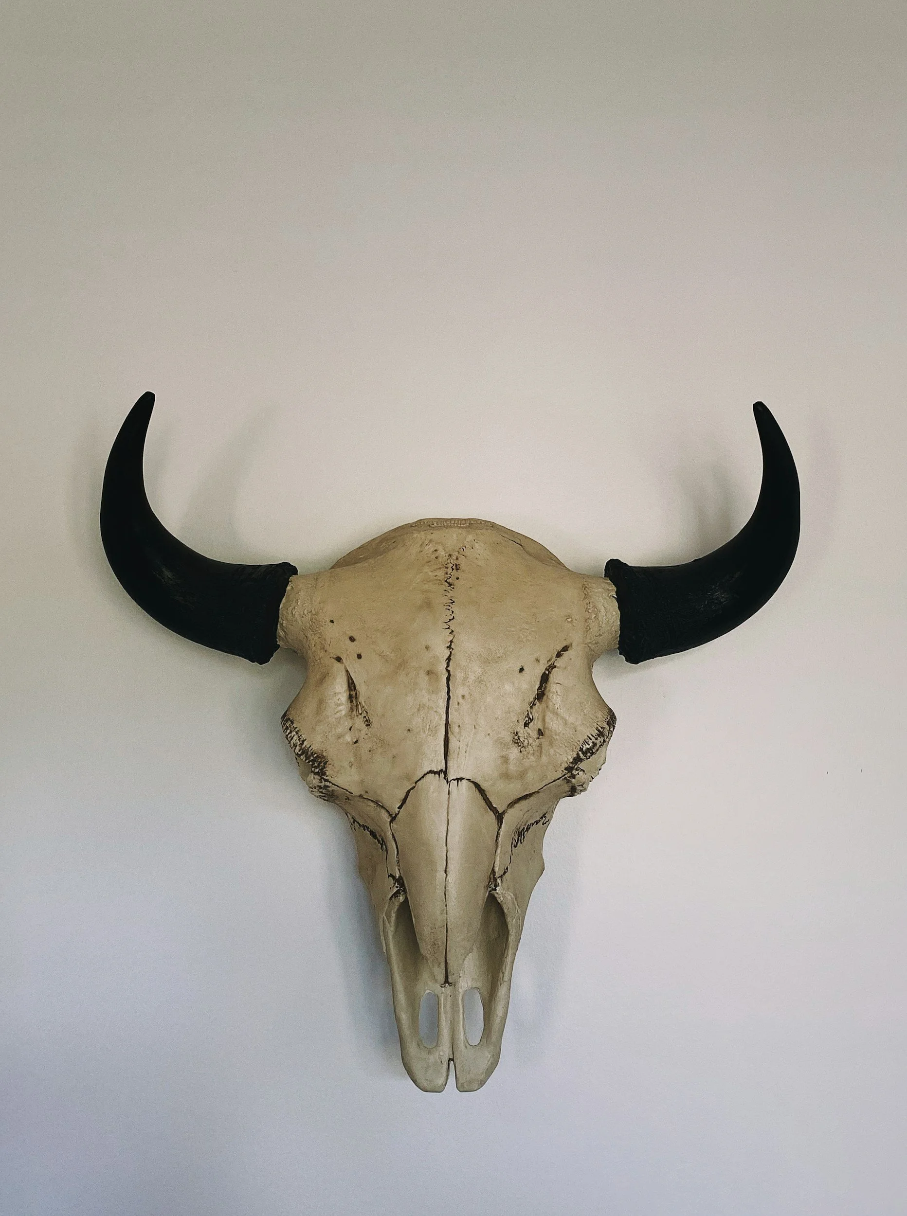 Voting rights and collective open wounds on an otherwise healing new moon in Taurus