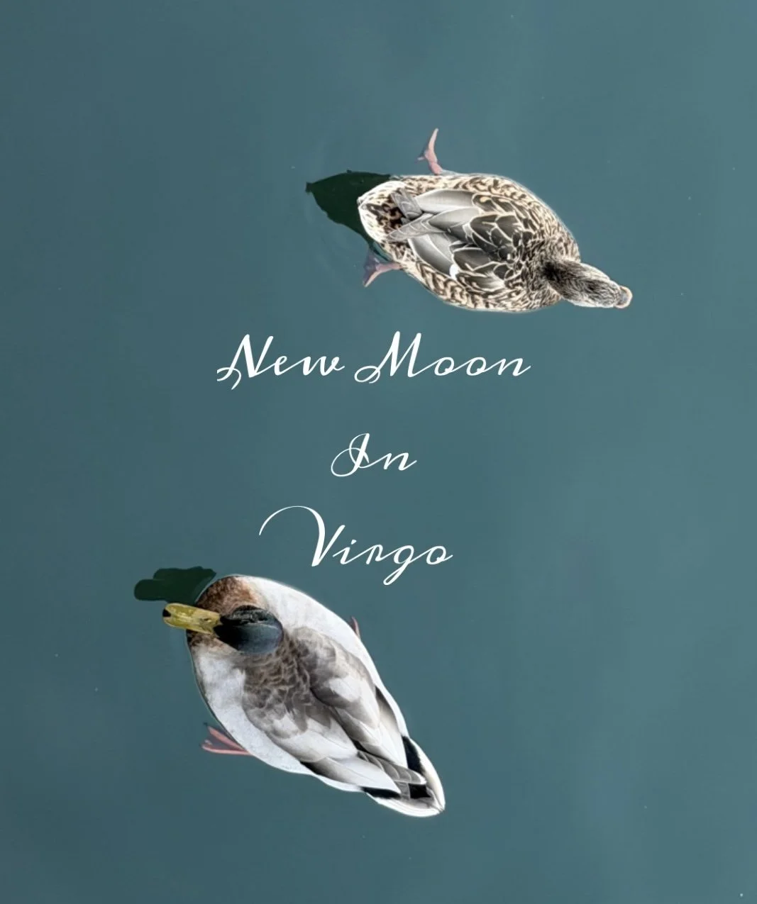Virgo New Moon Post Eclipse Hangover &amp; Is Your Feminist Flavor Dolly or Steinem?