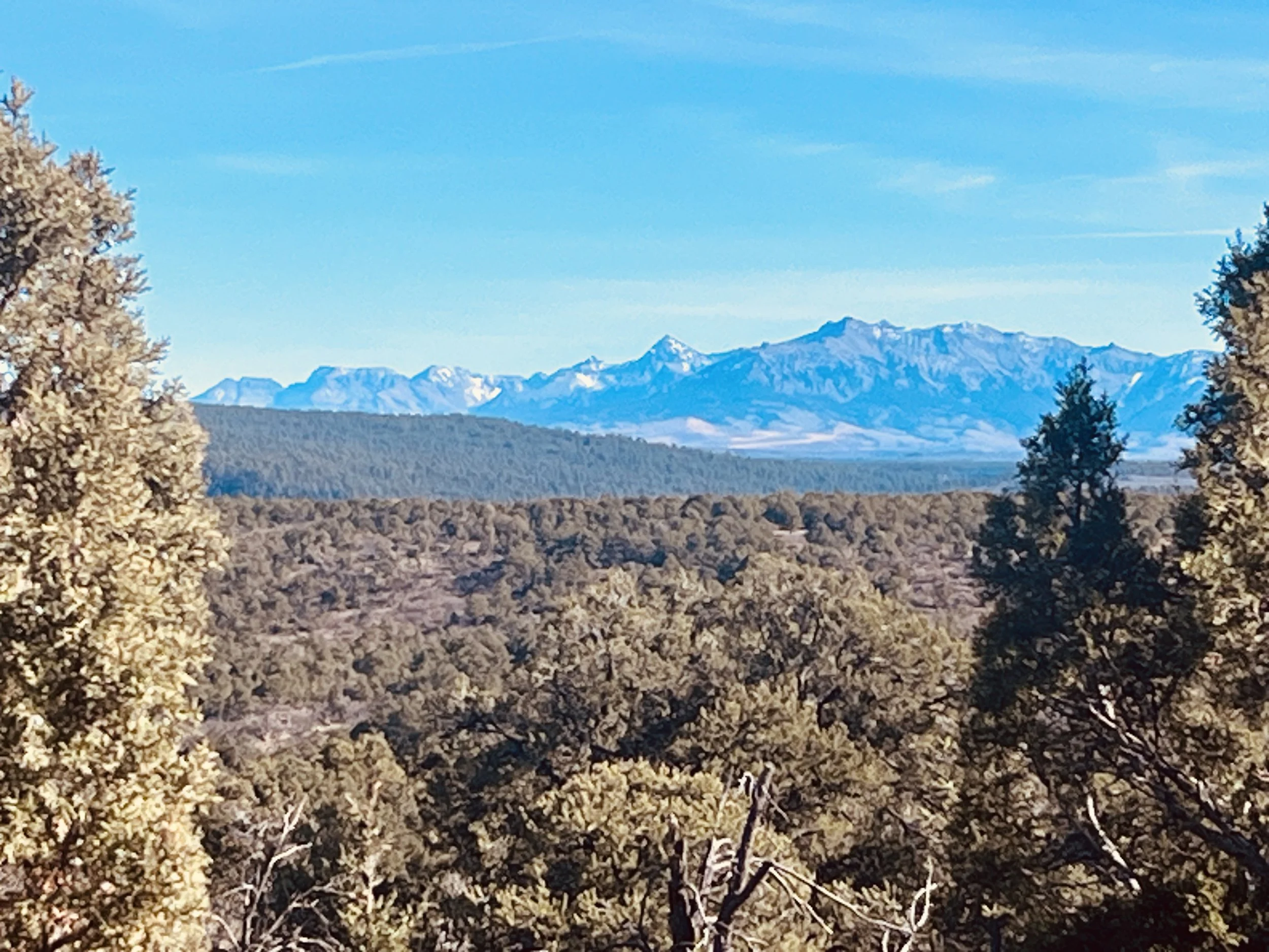 snowcapped mountains image on website for holiday discount on astrology readings