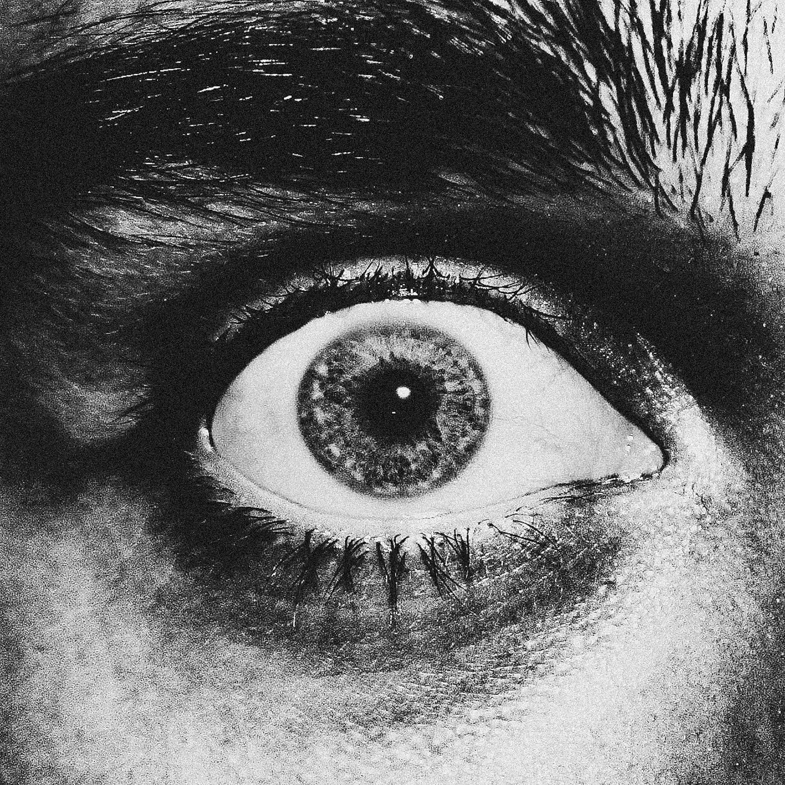 How Fear Responses Shape Horror Characters