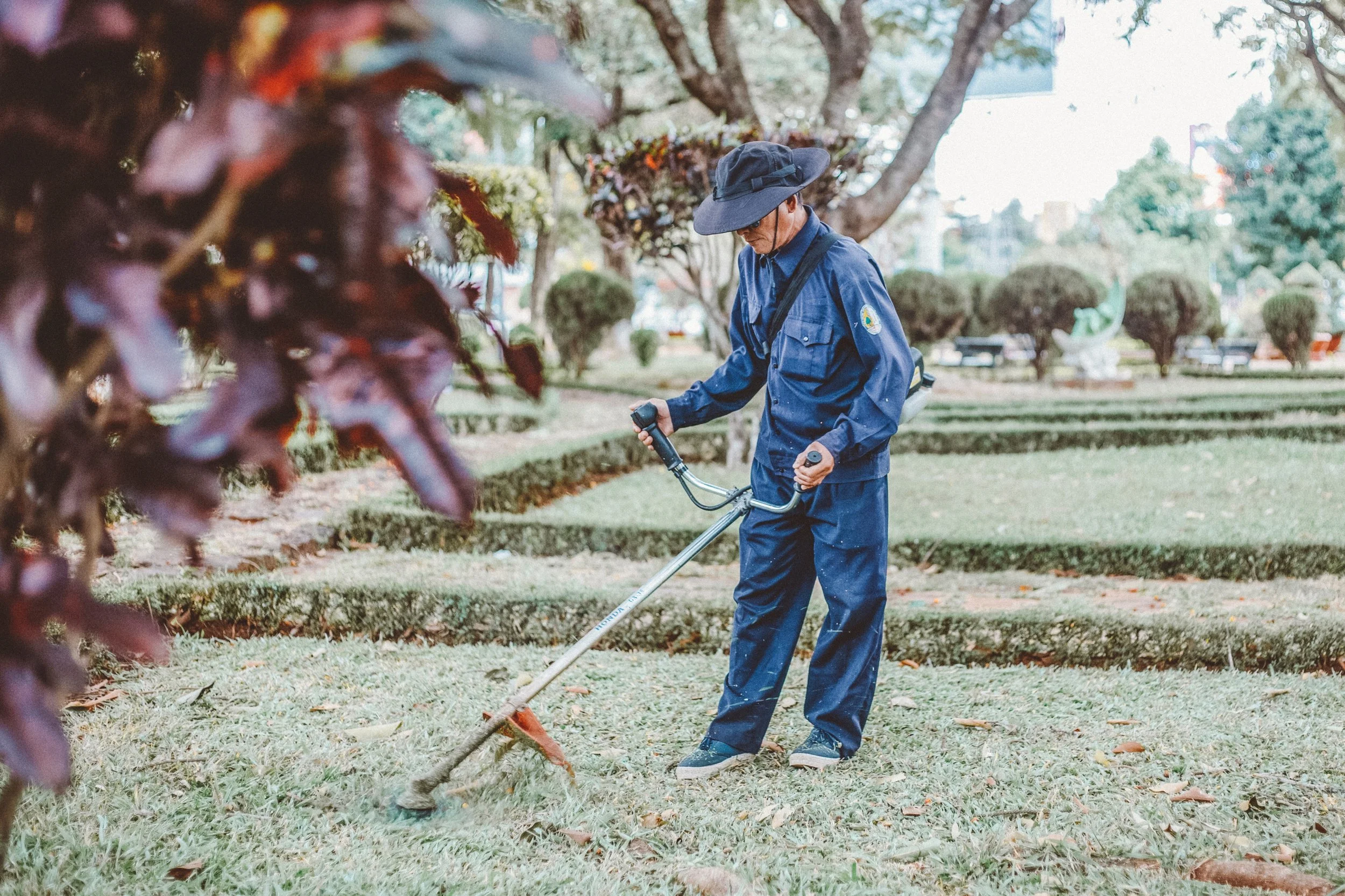 Cleaning and Gardening 