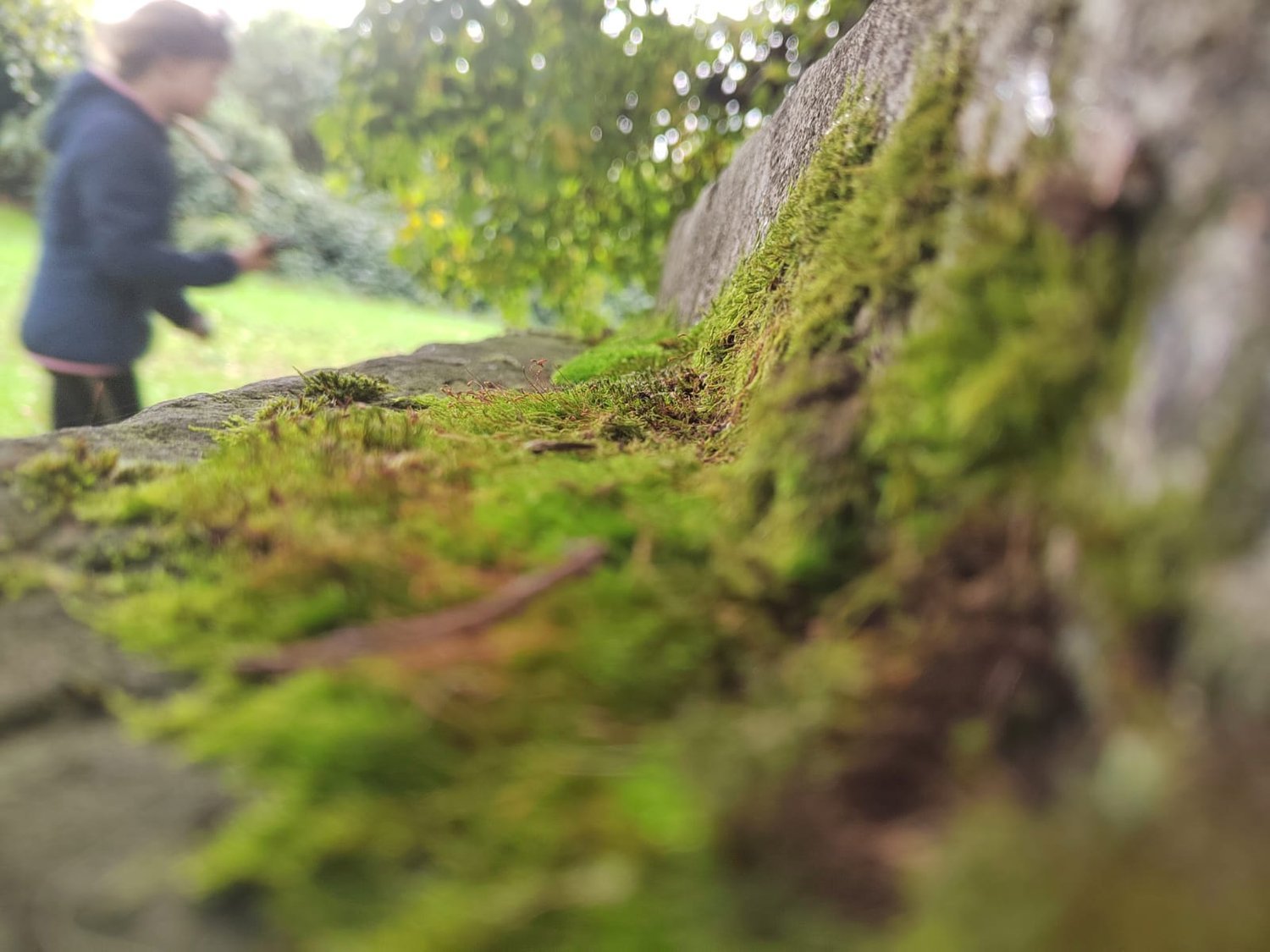 Zooming in on moss and stone, it looks like a mini earth.