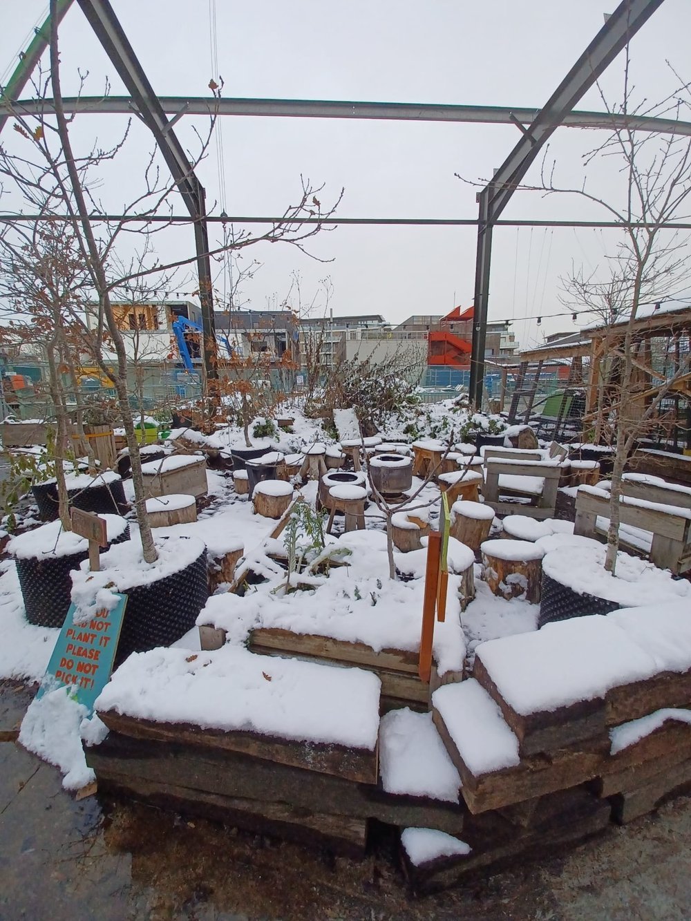 Winter at the Paper Garden