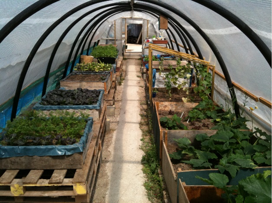 polytunnel2.png