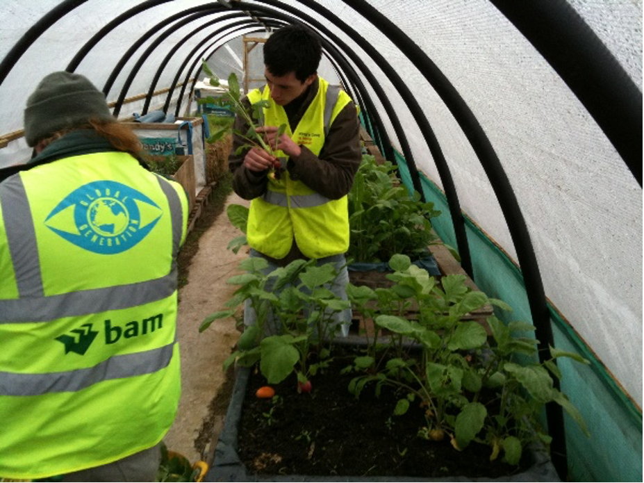 polytunnel3.png