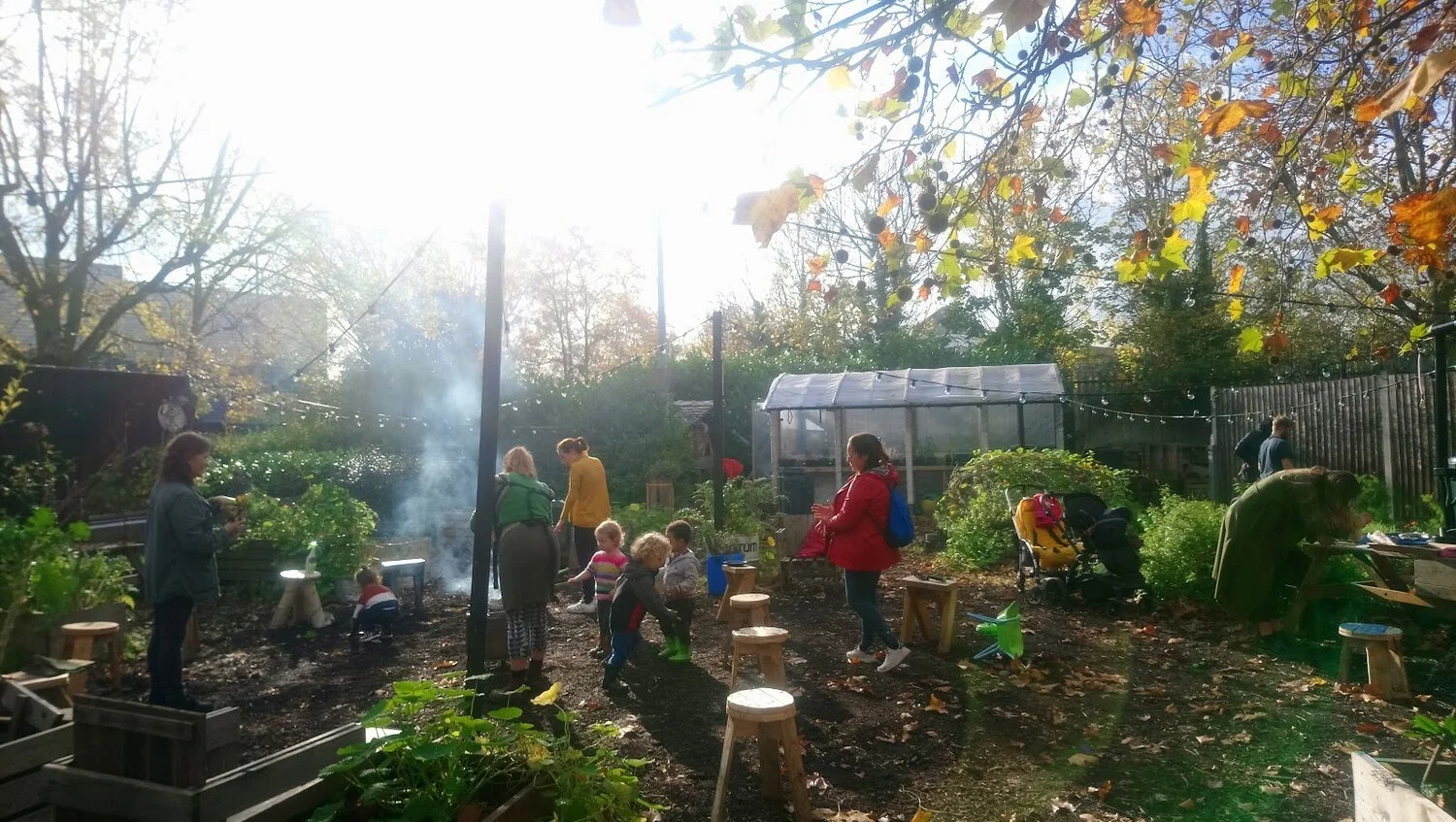 UPDATES FROM THE PAPER GARDEN