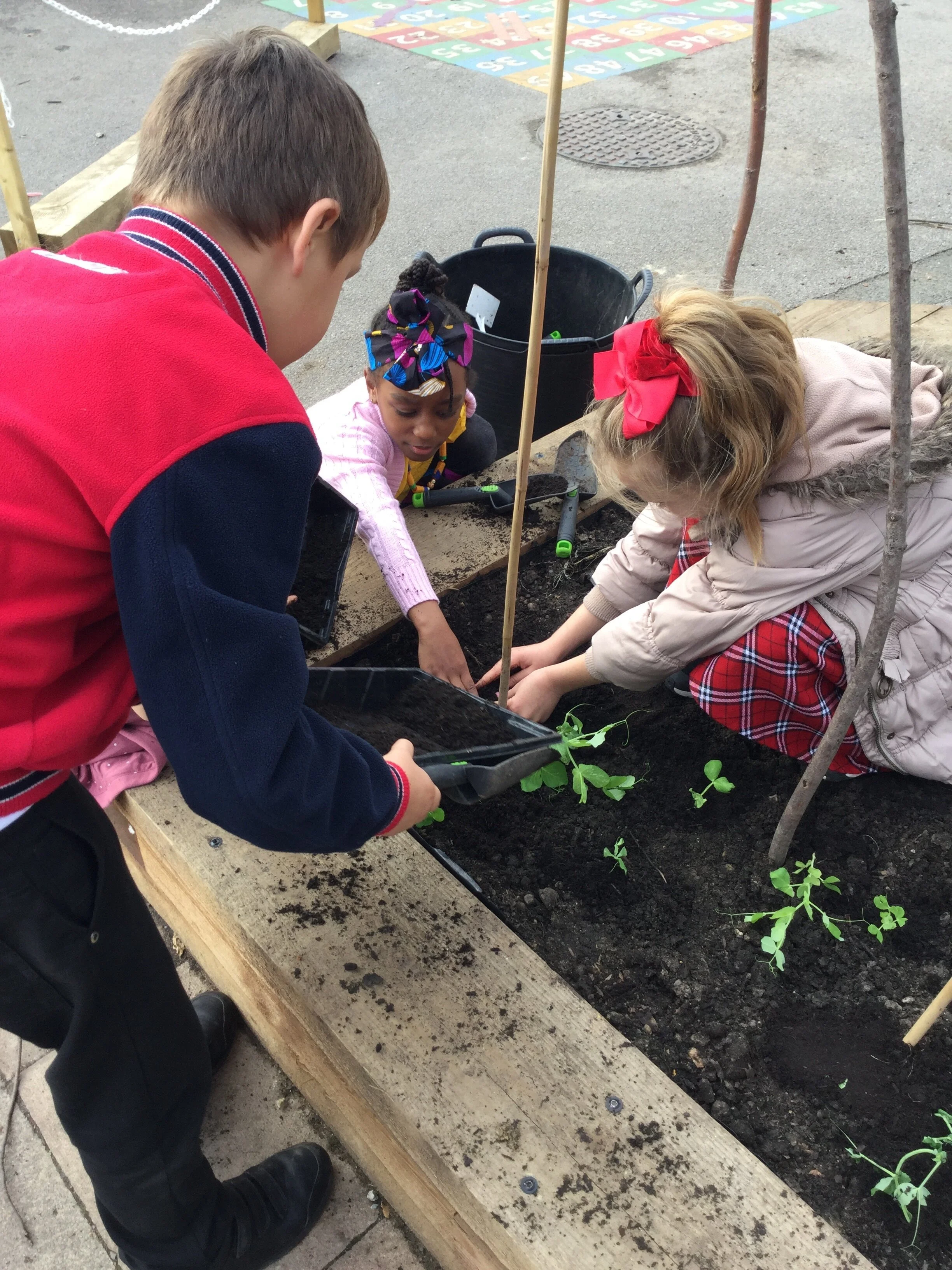 GARDENING AT REDRIFF PRIMARY SCHOOL