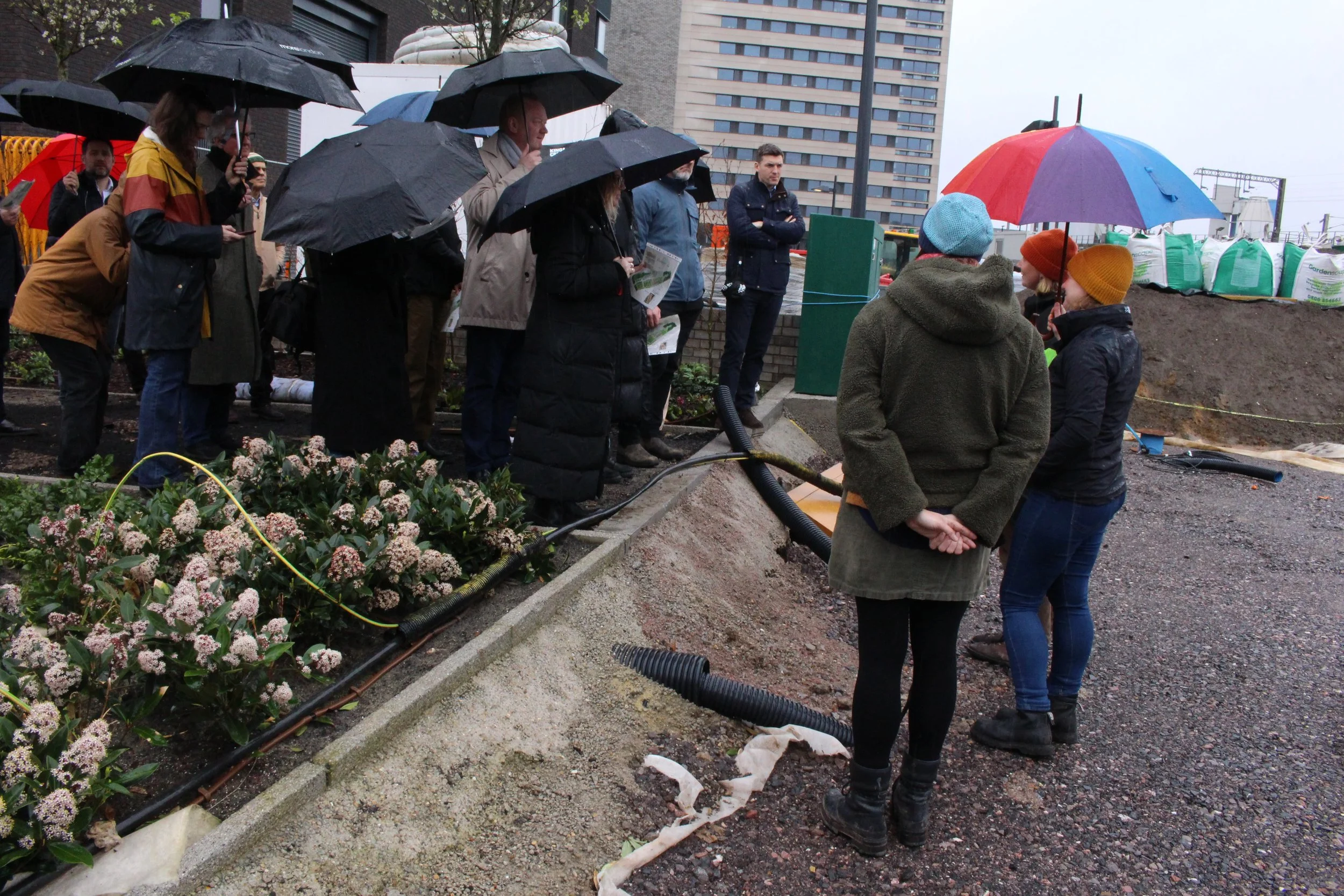 A day to simply say thank you