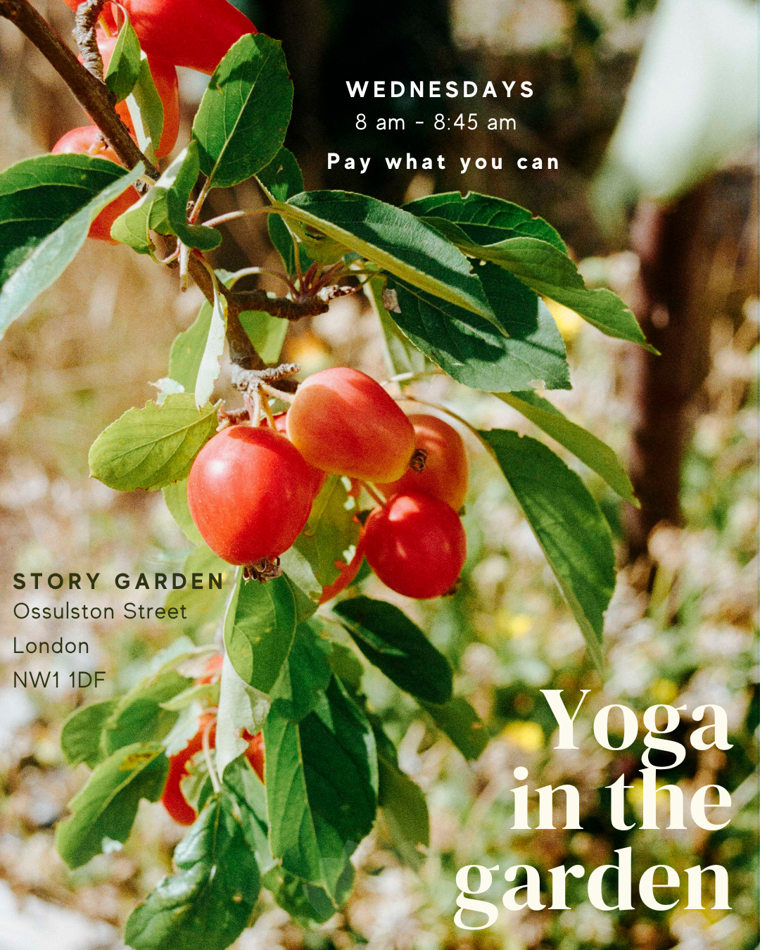 Yoga in the Story Garden (Wednesday)