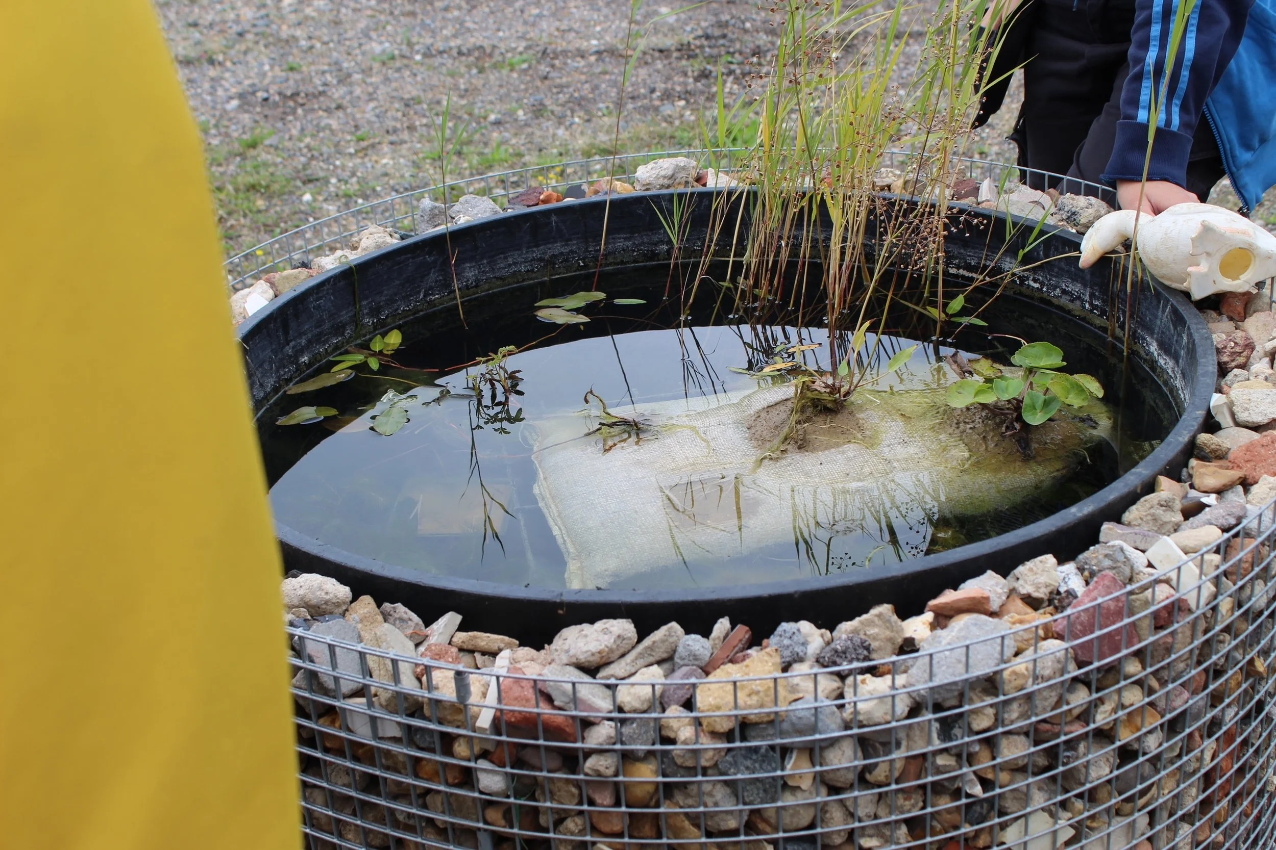 John Little and Gabion Mosaics