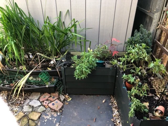 Sandra_Resident_Compost and Plants 3.jpeg