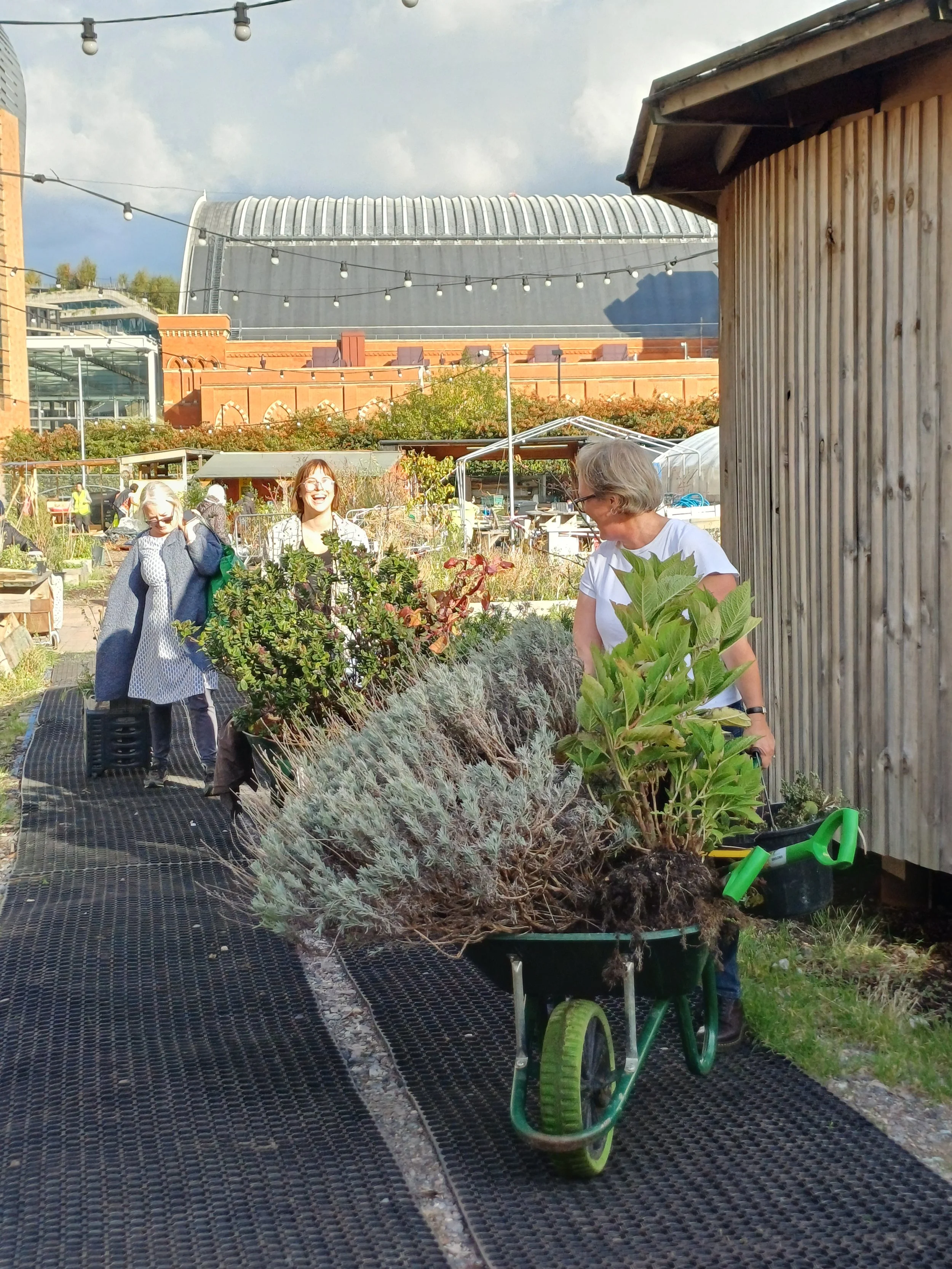 SG_BIgGiveAway_Oct2025 (4).jpg