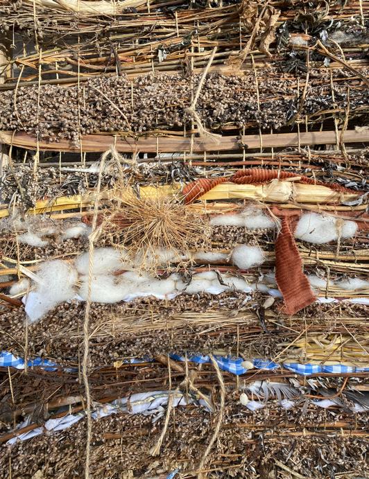 Interwoven – a story of people, plants and community