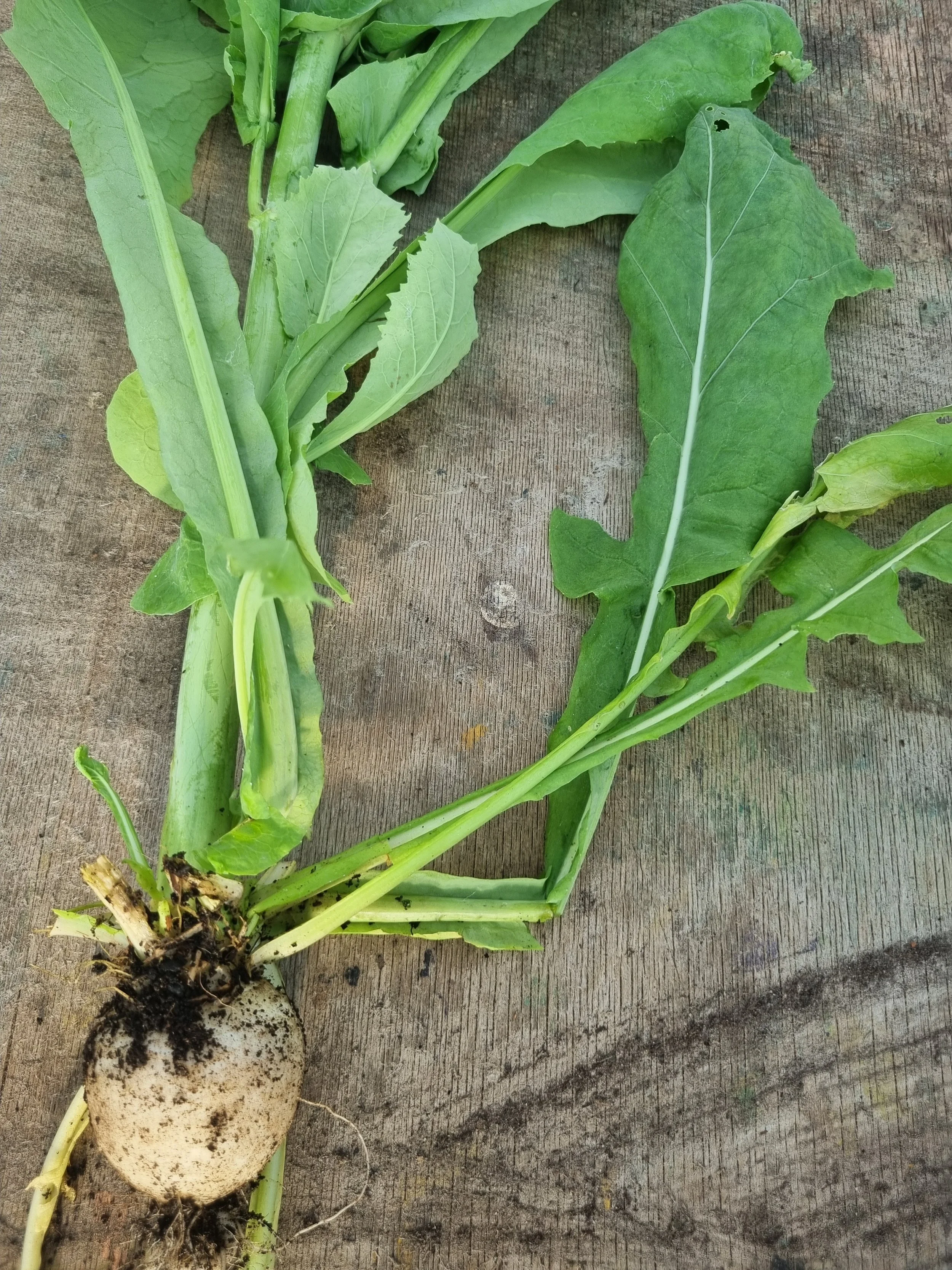 What does deep learning really mean?